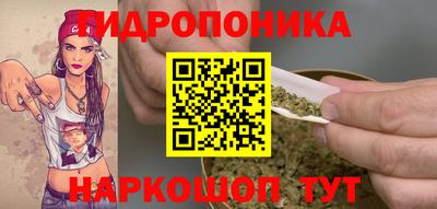 шишки Гагарин