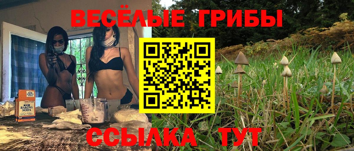 Галлюциногенные грибы Magic Shrooms  Вход с VPN  Карачаевск 